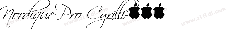 Nordique Pro Cyrilli字体转换